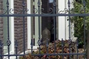 sierhekwerk details